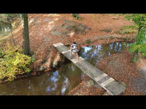Handpan Entspannung - Autumn Vibes - Gios C-Annaziska