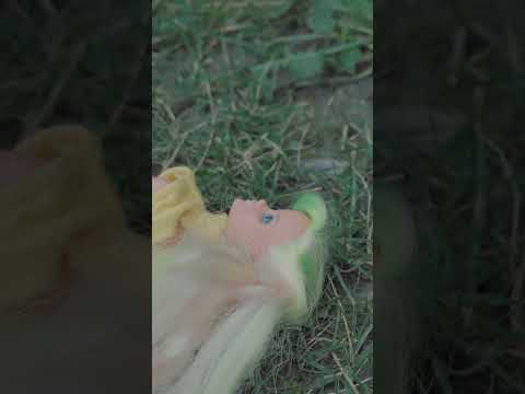 The Hidden With Handpan