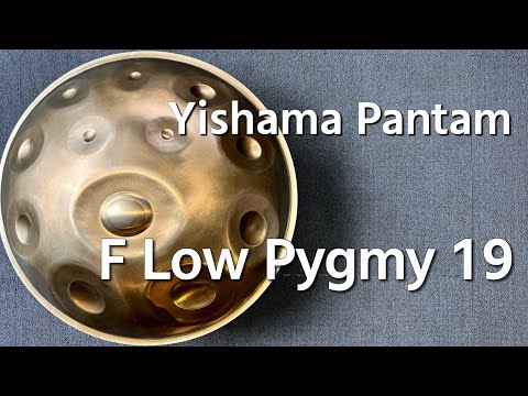 【レンタルハンドパン】Yishama Pantam /  F Low Pygmy 19 試奏1