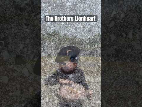 Bröderna Lejonhjärta Handpan    #handpan #astridlindgren #Brotherslionheart