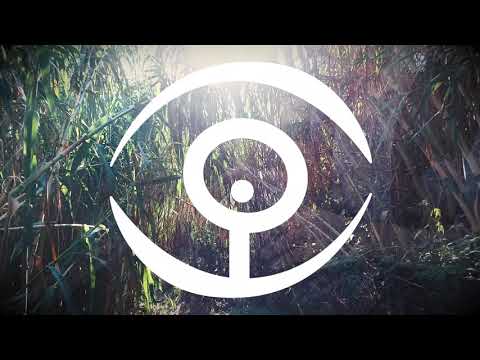 ETUDE N.1 (Official videoclip)
