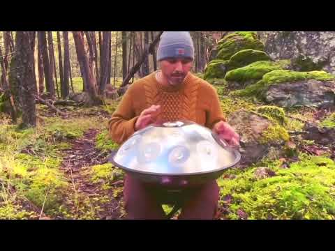 BeatRise 「StarSonic」Handpan - D Kurd 10 - Silver - Franco #handpan #handpandrum  #handpanshop