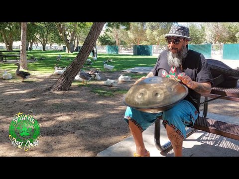 Hanpdan at the Lake with Ducks, Geese and Pelicans @ Hesperia Lake Park