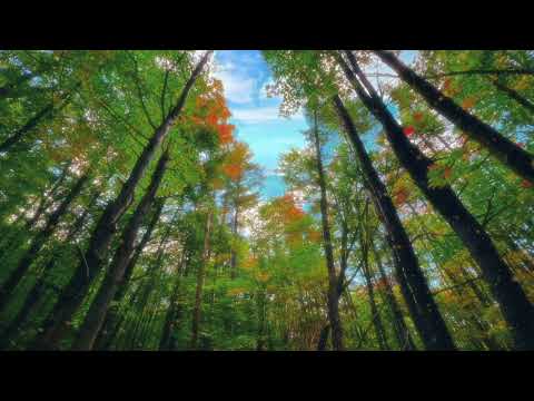 Low Frequency B (432Hz) 1-Hour BACKGROUND DEEP BASS Sounds for MEDITATION| DEEP FOCUS | DEEP SLEEP