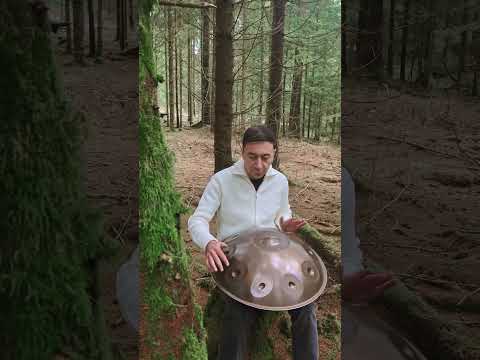 Forest Bathing Handpan Calm | ListenBelow #handpan #calm #forest #relax #shorts #meditation