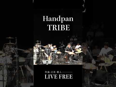 眠っていた本能を呼び覚ます音 | Handpan Tribe「LIVE FREE」