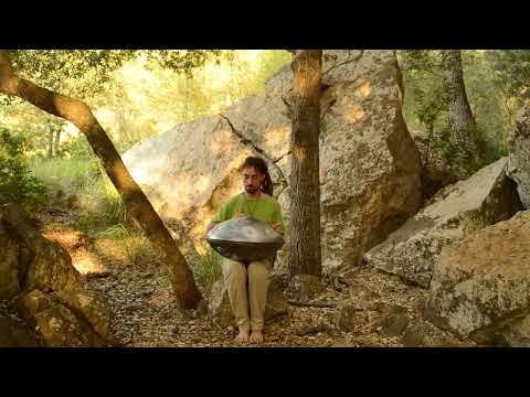 Aliwen Neira - Walk Gently I Handpan Music Improvisation