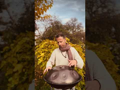 Friendship between children and chickens | Alwin Steinle | Handpan Omana A 2 #handpan #handpanmusic