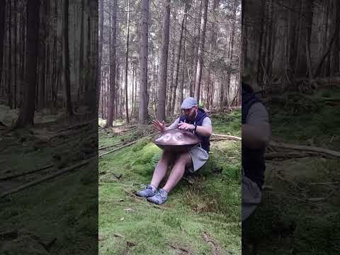 Sitting in the Moss While Talking to the Trees