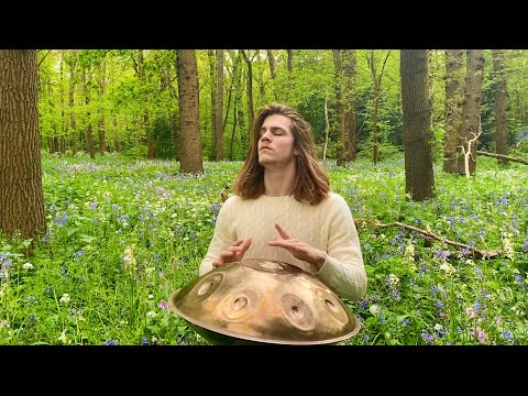 Delicate Flow | 30 Minute Handpan Meditation - Tobias Faber