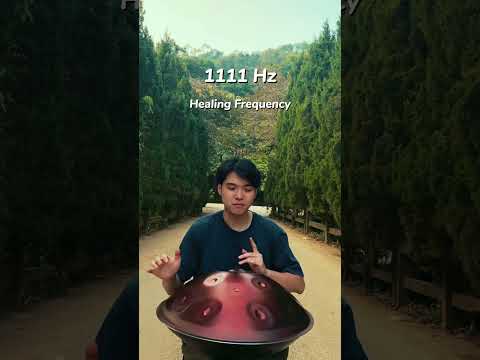 Chí Hùng ngẫu hứng với E amara #handpan #1111hz #healing #hangdrum