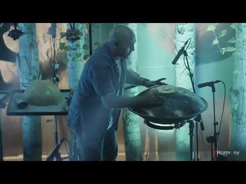 PinDrum Handpan E Pygmy (Saeed Saremi in Harmony festival)