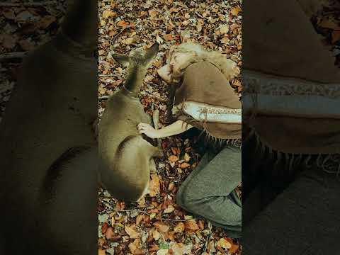 Tenderness in a world of scars | Alwin Steinle | Handpan Omana #handpan #handpanmusic #ideer #love