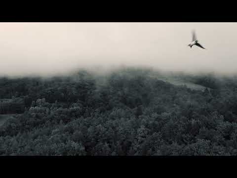 Flying with the birds | Handpan E Amara 21
