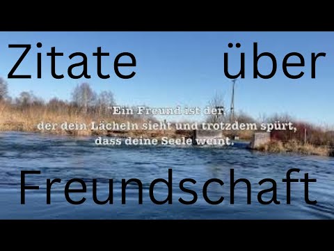 Handpan Musik mit Zitaten #2 / Handpan music with quotes #2, D Ashakiran 15+1 Ember Steel
