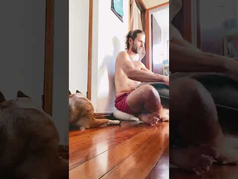 Background Handpan Music | Ft. Frankie the Dog Part 2 #shorts