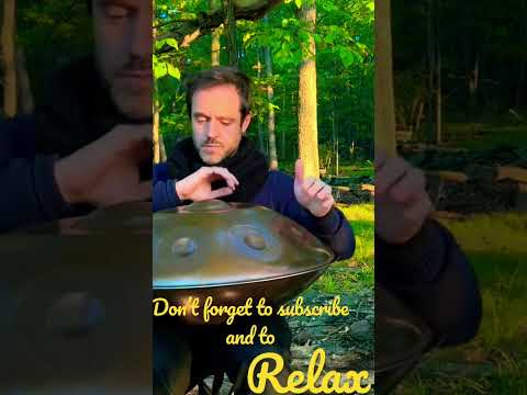 SHORTS: RELAXING SOUNDS OF THE WOODS (handpan)