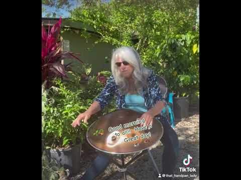 🌞 🌱🪴 Starting out my day with an E Major pan from @spirithandpans  🪴🌱 🎶🛸