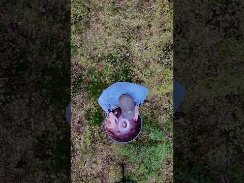 F#low pygmy handpan #handpan #chillvibes #music #forest #nature