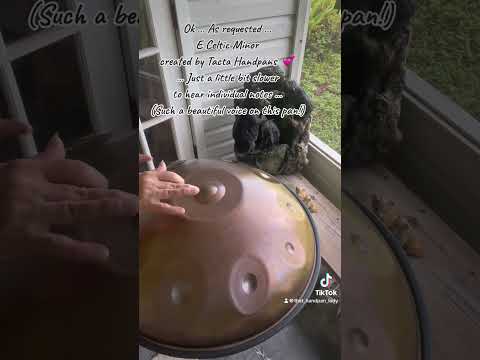 🛸🎶💕 E Celtic Minor handpan ~ Masterfully created by @tactahandpans 💕🎶🛸