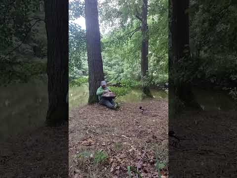 The Silent Tree