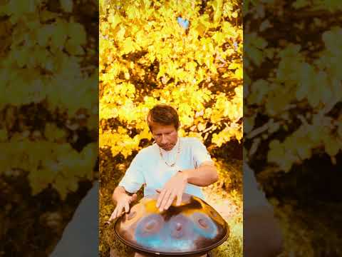 Life is precious | Alwin Steinle | Handpan D-Kurd Dragon Omana #handpan #handpanmusic