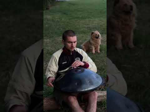Chau or handpan ?) #handpan #percussion #music #drummer #drumming #handpanworld #chill #432hz