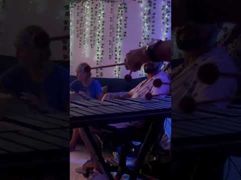 Sesión de Hang Drum para Encontrar tu Paz Interior 🧘‍♂️