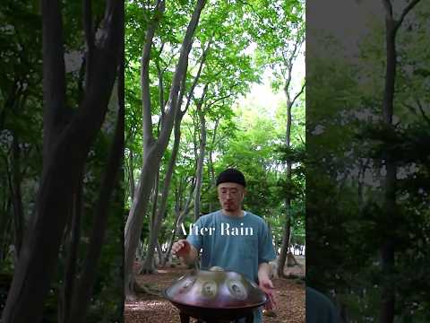 雨上がり〜「ハンドパンの音が森に響き渡る」 #ハンドパン #handpan #癒し #森林浴 #鳥のさえずり #梅雨 #リラックス #ヒーリング #ヨガ #瞑想 #瞑想音楽 #music #おすすめ