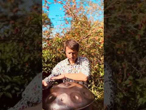 The wild rose | Alwin Steinle | Handpan Omana D Kurd Dragon #handpan #handpanmusic #music #flow