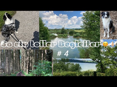 Seeumrundung mit Handpanklängen, Teil 4 / Lake circumnavigation with handpan sounds, part 4