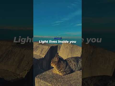 Light Never Stops☄️#LightContinues🎵 #HangDrum #Hope #life
