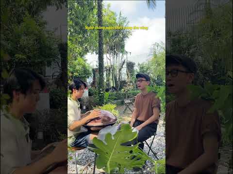 NHÌN NHỮNG MÙA THU ĐI | HANDPAN COVER  #chill #hangdrum  #hanoi #mùathu #handpan