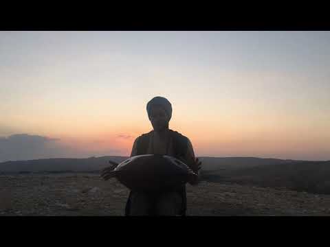 אמיר וייס - Amir weiss - D kurd 13 - handpan in the desert