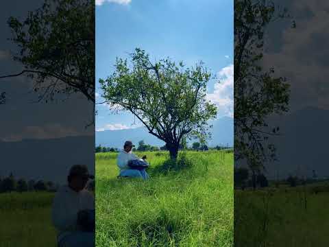 童話般的大理，演繹不一樣的手碟律動給你聽！Fairy-tale Dali・Unique Handpan Music# 手碟 #大理 #助眠音樂