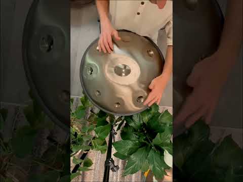 D Kurd 9 Note Silver Polished Stainless Steel Handpan 440 Hz | Zendō Sounds
