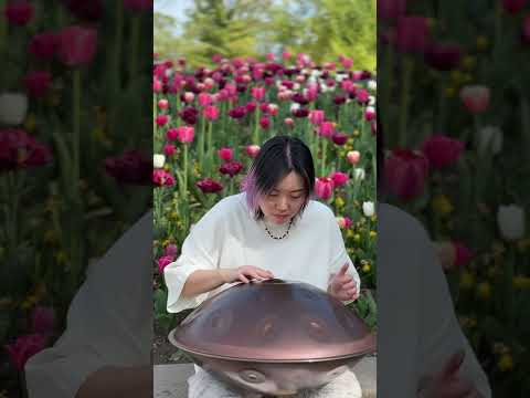 🇨🇦 Handpan | A Summer of Blooming Tulips 🌷 -#F Pygmy 21 #handpan#canadahandpan #meditaionmusic