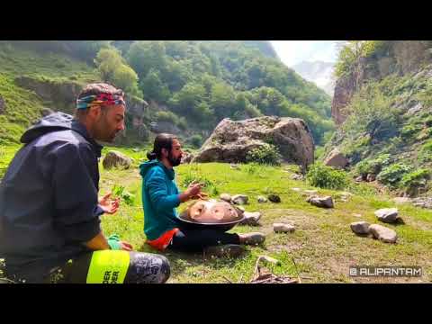 Handpan in nature 😍🛸#handpan #hangdrum #alipantam