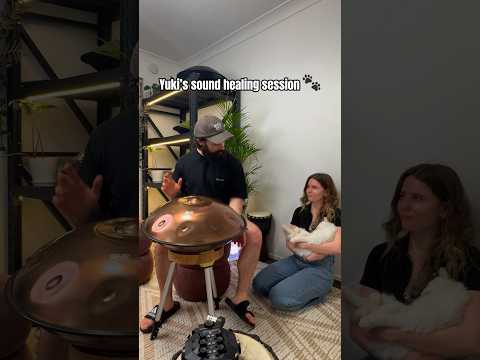 Sound Healing for My Cat 🐱