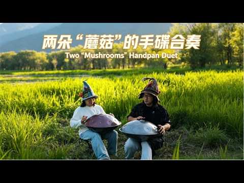 兩朵「蘑菇」的手碟合奏，用七分鐘放鬆一下！Duet Of Two "Mushroom" Handpans#handpan#music#youtubeshorts