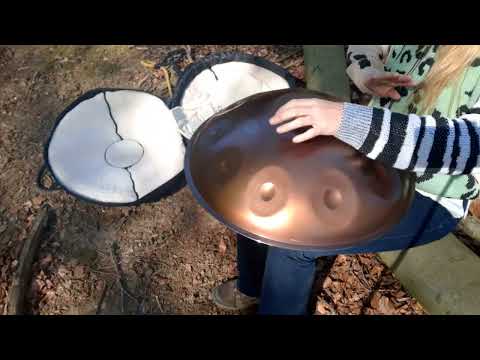 Handpan D Kurd 19 in the forest - this one's called Running