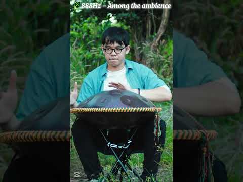Among the ambience | handpan music @Handpanion