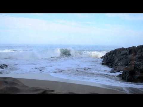 Ocean of bliss ~ David Sunshine and Judith Lerner