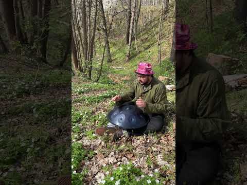 healing drum / spring winds / nature connection #art#handpan #handpanmeditation #consciousness #free