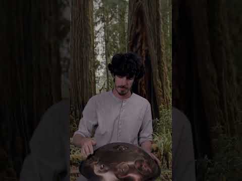 Creative Handpan Playing That Keeps You Listening 🌿 | Planet Ding