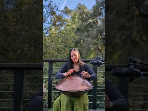 The Butterfly 🦋 - handpan: G major 19 Elysian Instruments