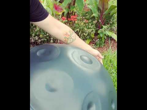 ~Handpan and the Bees~