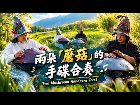 兩朵「蘑菇」的手碟合奏,這就是我們想要的手碟音樂!Mushroom Handpan Duet|Our Ideal Handpan Music#Handpan #HandpanMusic