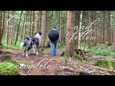 Handpan Entspannungsspaziergang, Komplett / Handpan Relaxation Walk, complete, D Kurd 8+1 Edelstahl