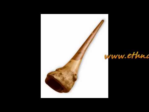 Didgeridoo from Eucaliptus - Roots